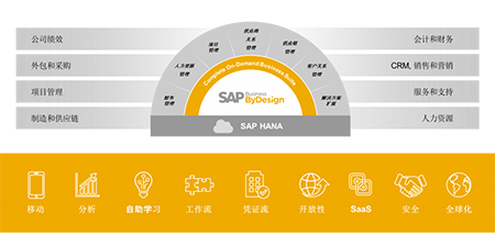 SAP Business ByDesign：適用于中小型企業(yè)的云端綜合解決方案