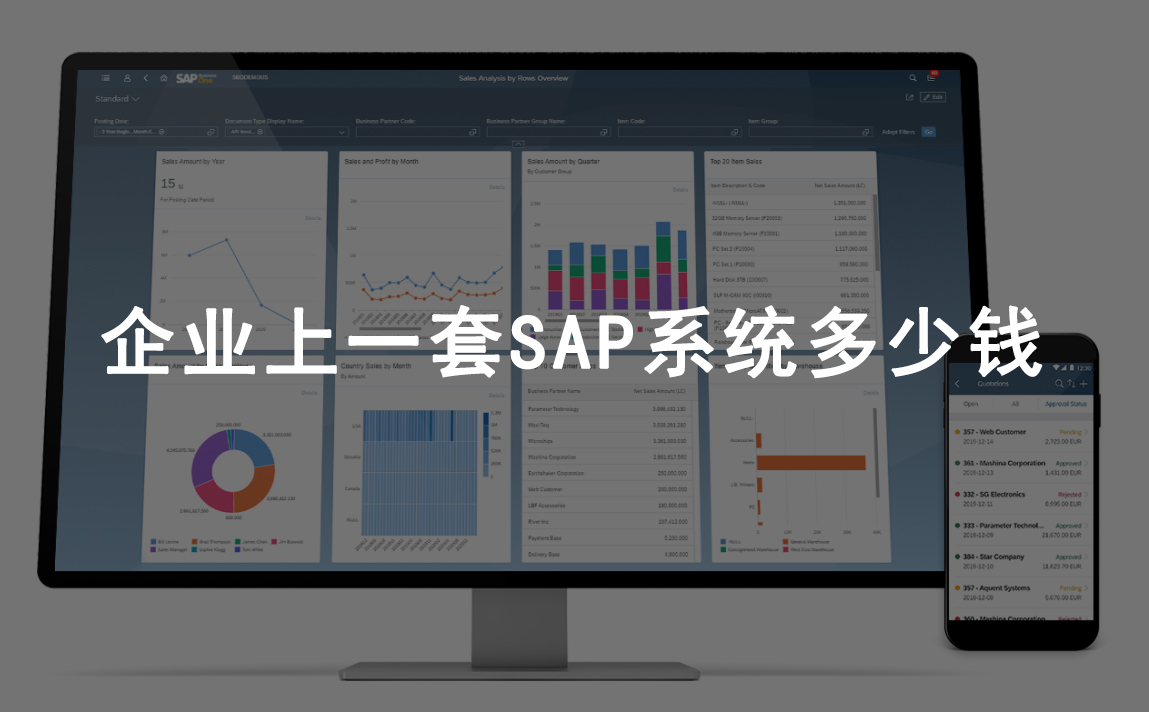 企業(yè)上一套sap系統(tǒng)多少錢