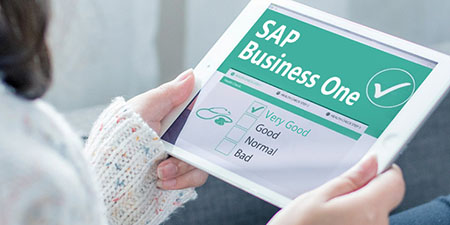 哲訊SAP Business One二次開發(fā)：解鎖潛力，實(shí)現(xiàn)定制化需求