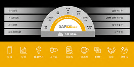 SAP Business ByDesign ——中小企業(yè) ERP 云